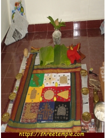 Navagrah Puja 